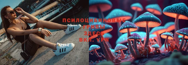 ГАЛЛЮЦИНОГЕННЫЕ ГРИБЫ Каменногорск