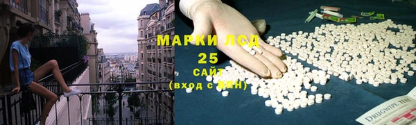 ГАЛЛЮЦИНОГЕННЫЕ ГРИБЫ Каменногорск