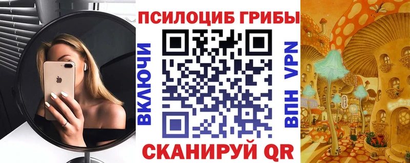 Галлюциногенные грибы Cubensis Купить Донецк